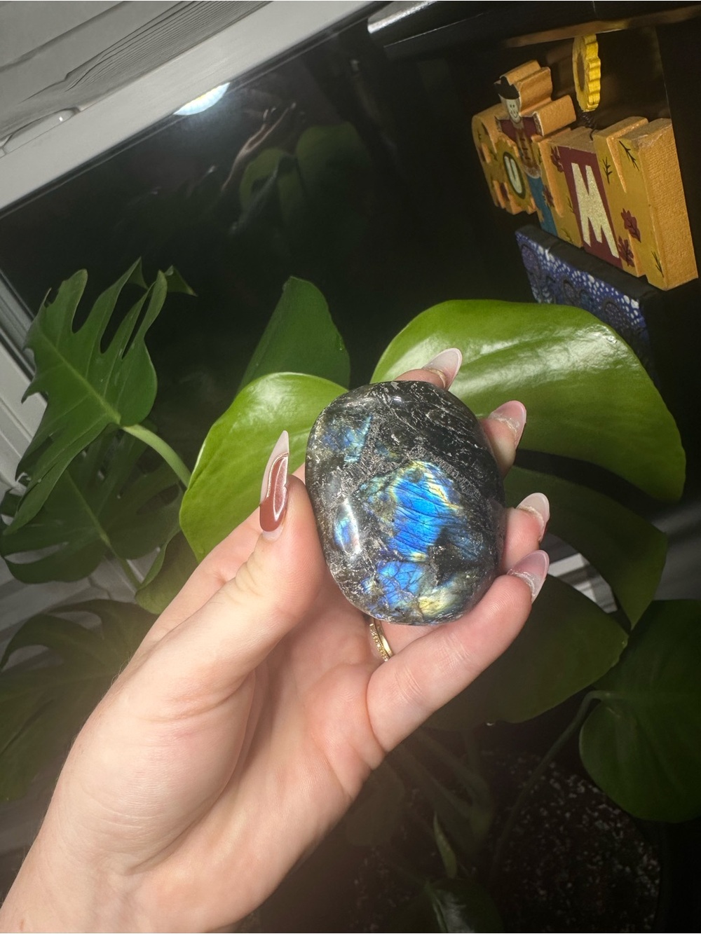 Labradorite Palm Stone - Iridescent Blue